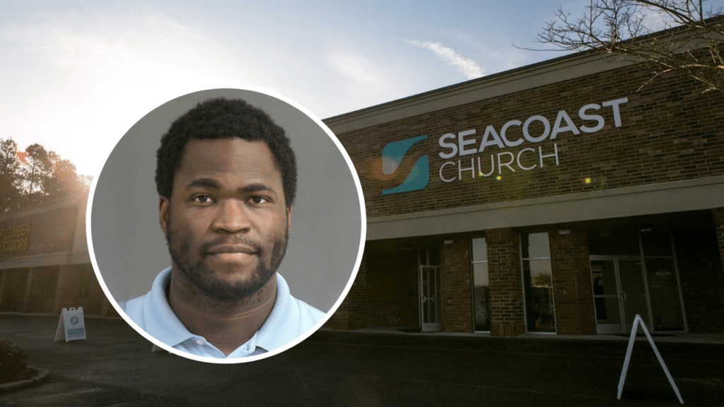 willis seacoast